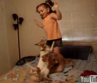 Dancing With The Pups